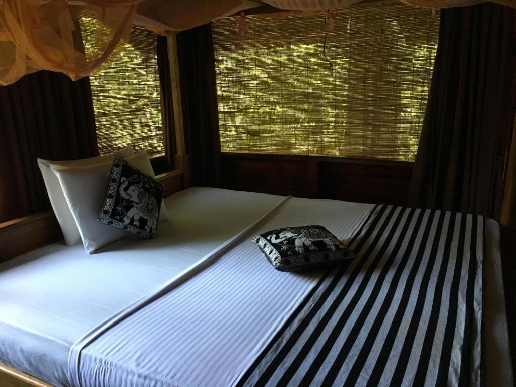The Inn On The Tree Sigiriya Buitenkant foto
