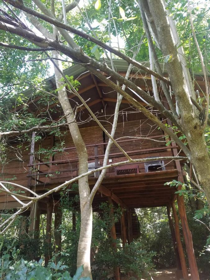 The Inn On The Tree Sigiriya Buitenkant foto