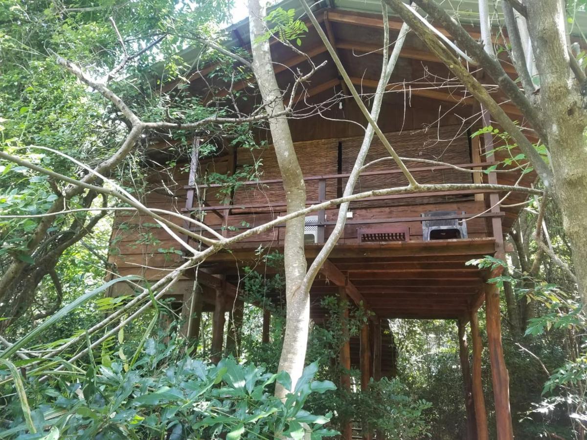 The Inn On The Tree Sigiriya Buitenkant foto