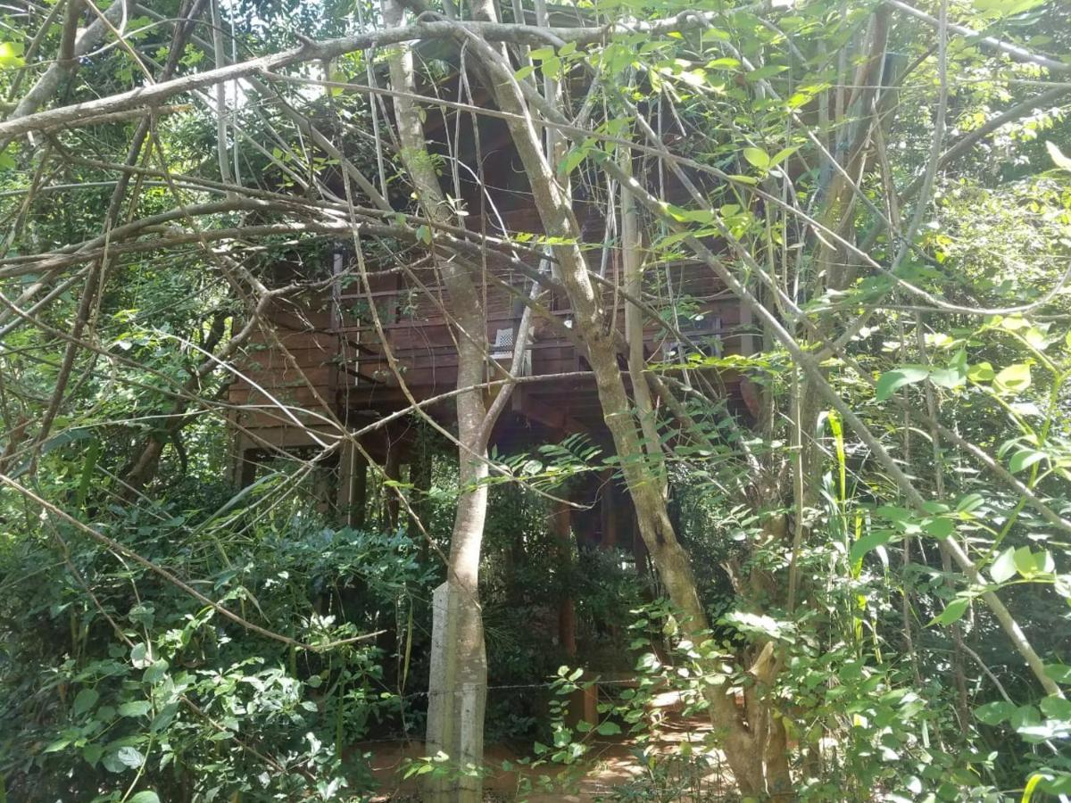 The Inn On The Tree Sigiriya Buitenkant foto