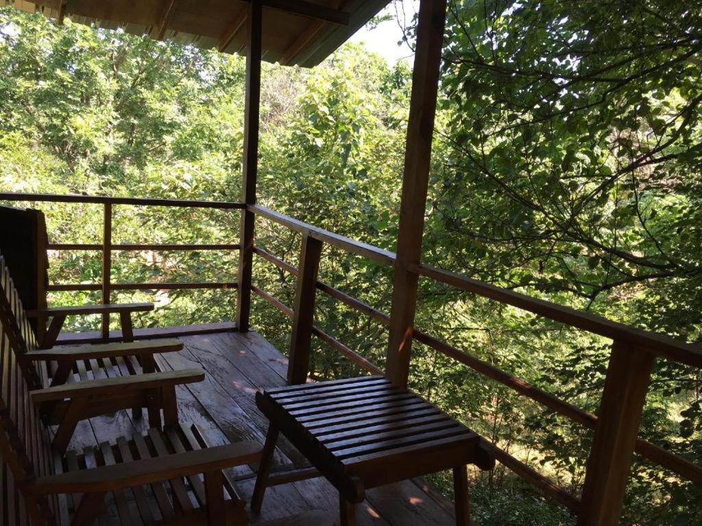 The Inn On The Tree Sigiriya Buitenkant foto