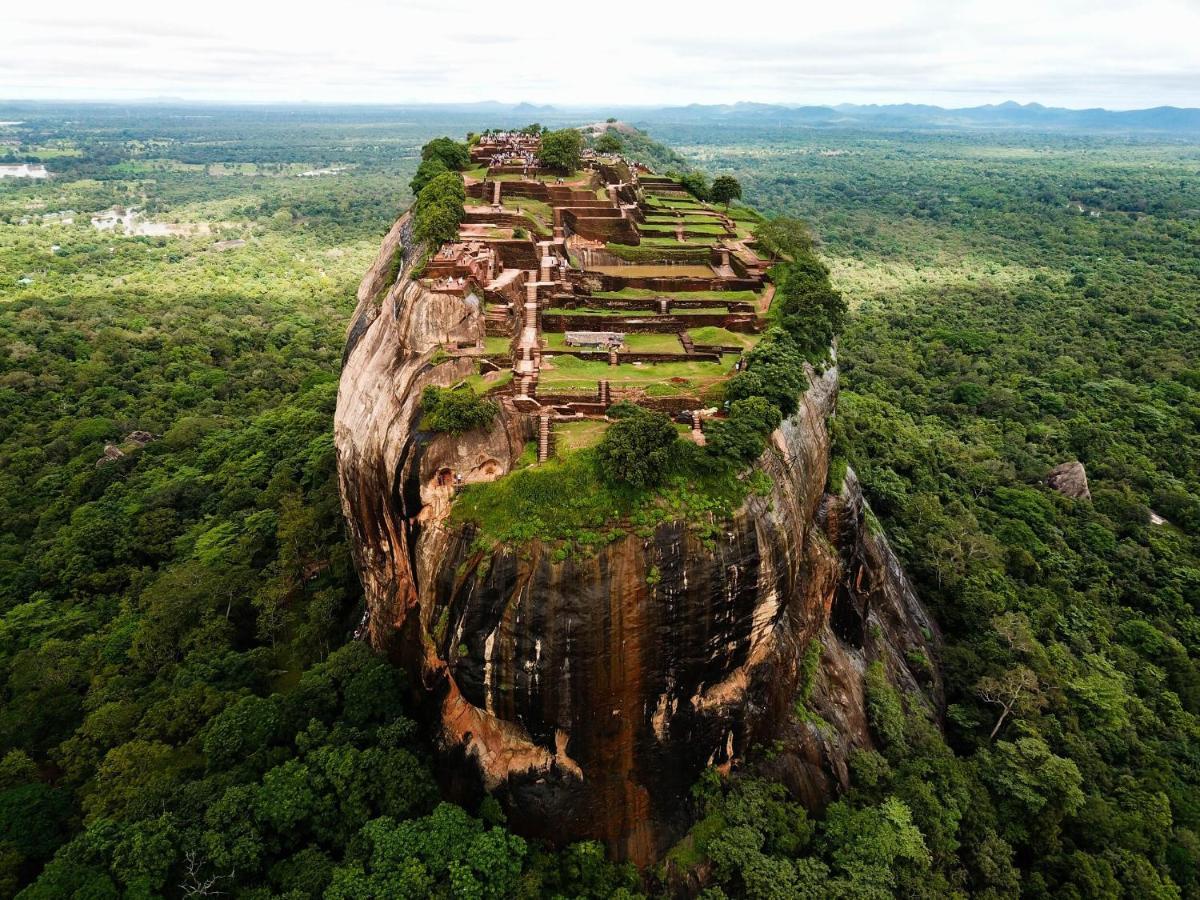 The Inn On The Tree Sigiriya Buitenkant foto