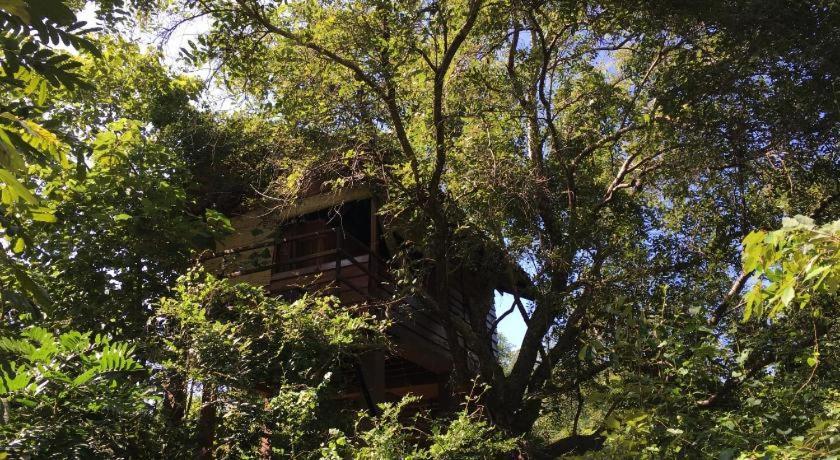 The Inn On The Tree Sigiriya Buitenkant foto